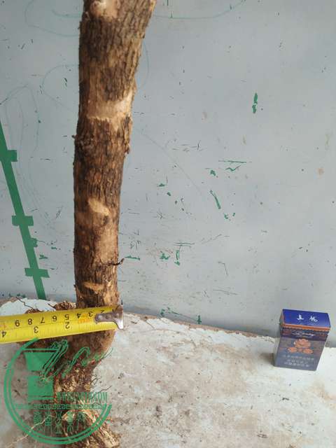 IMG20170430104309.jpg