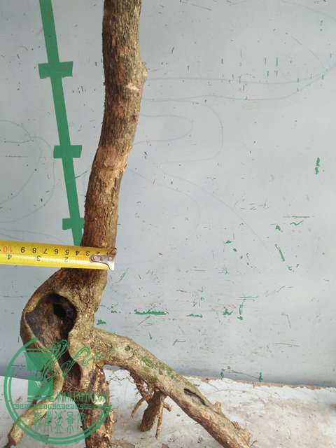 IMG20170430104329.jpg