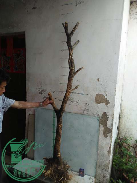IMG20170430104411.jpg