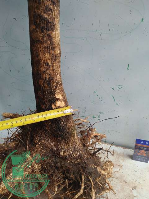 IMG20170430104422.jpg