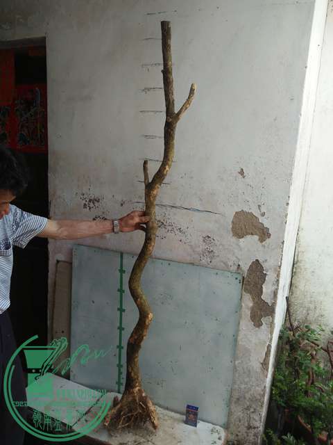 IMG20170430104545.jpg