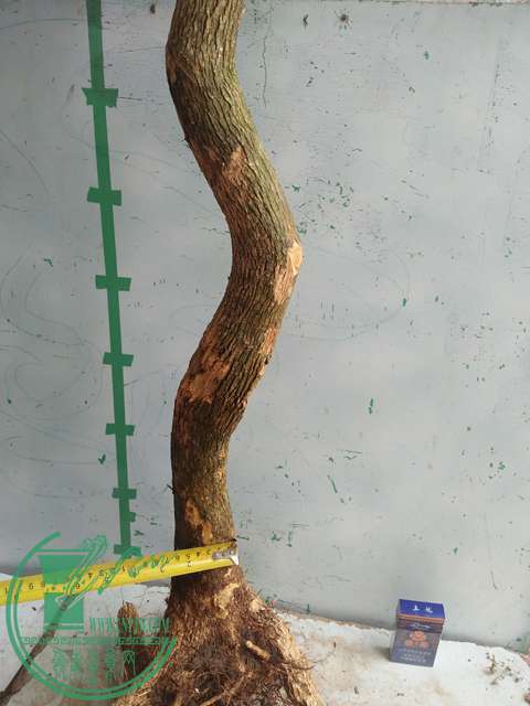 IMG20170430104554.jpg