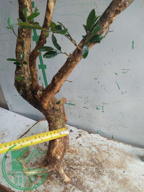 IMG20170430104704.jpg