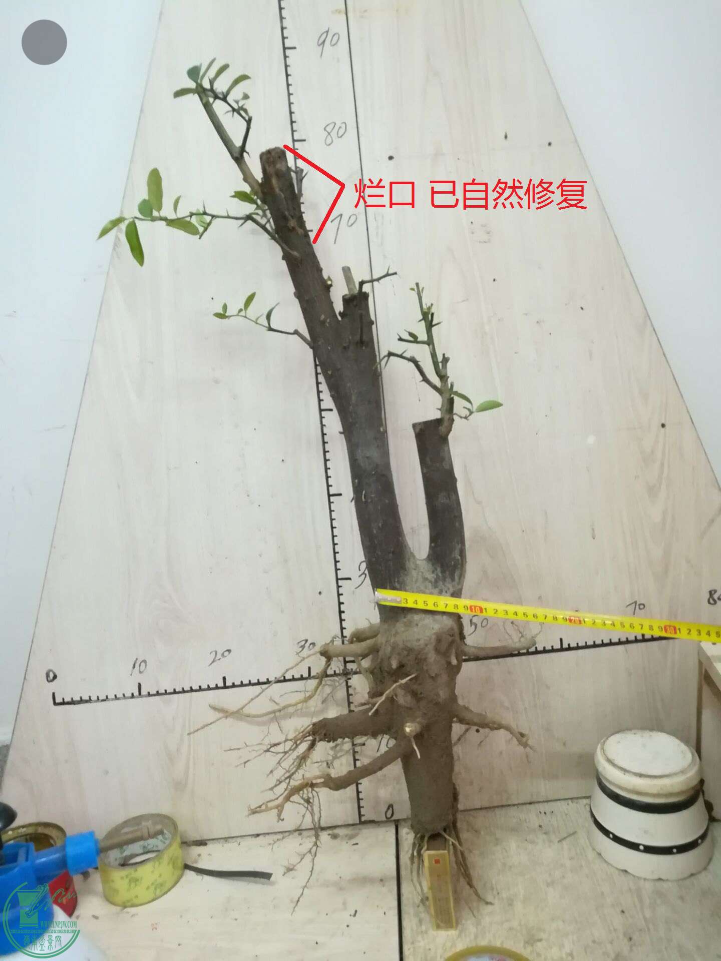 QQͼƬ20170501232909.jpg