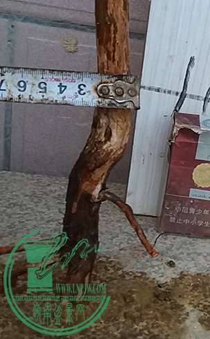 20170502_184051_mh1493725891197.jpg