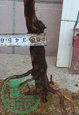 20170502_183947_mh1493725829045.jpg