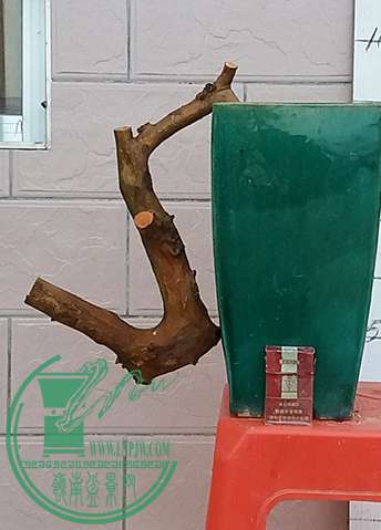 20170502_182434_mh1493725106138.jpg