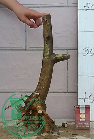20170503_183302_mh1493811181526.jpg