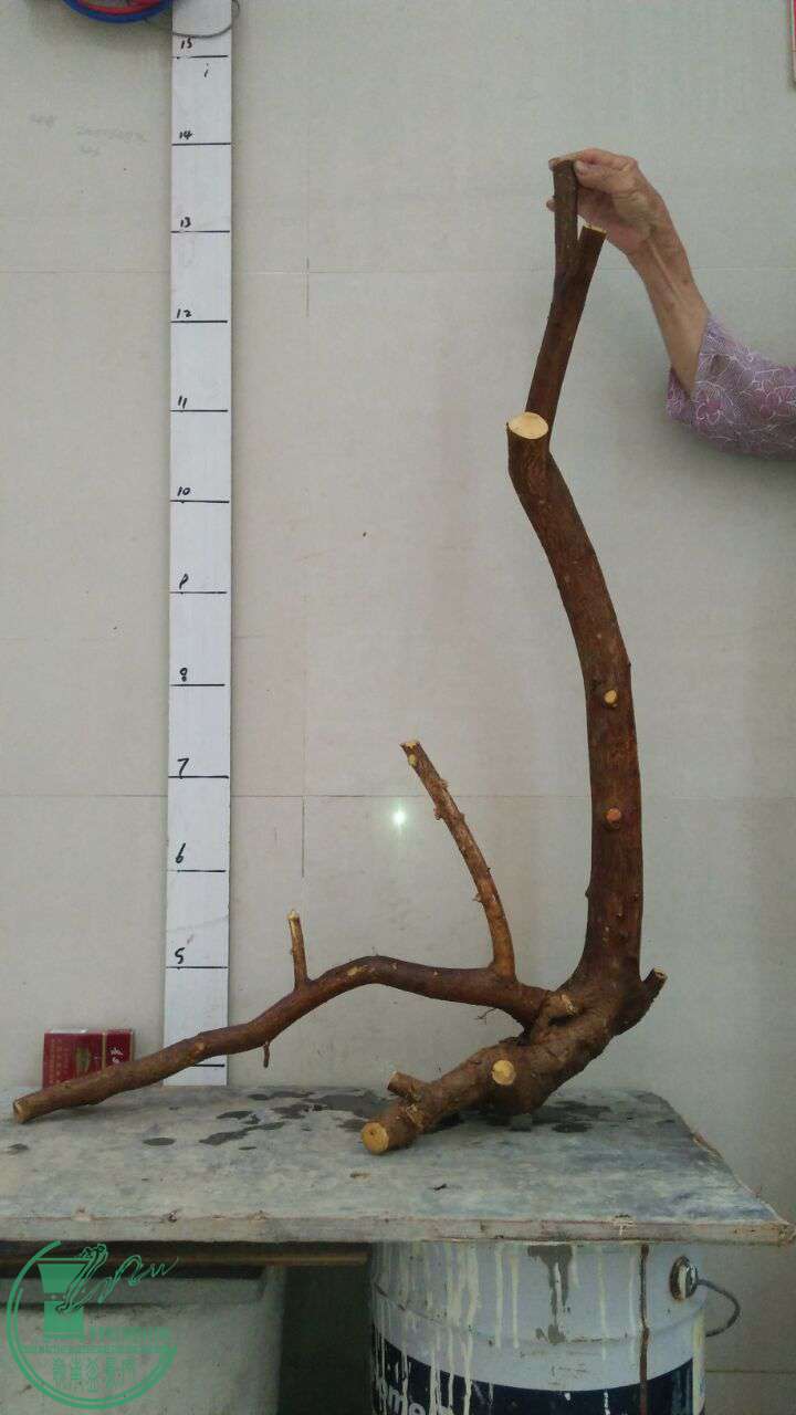 QQͼƬ20170503222000.jpg