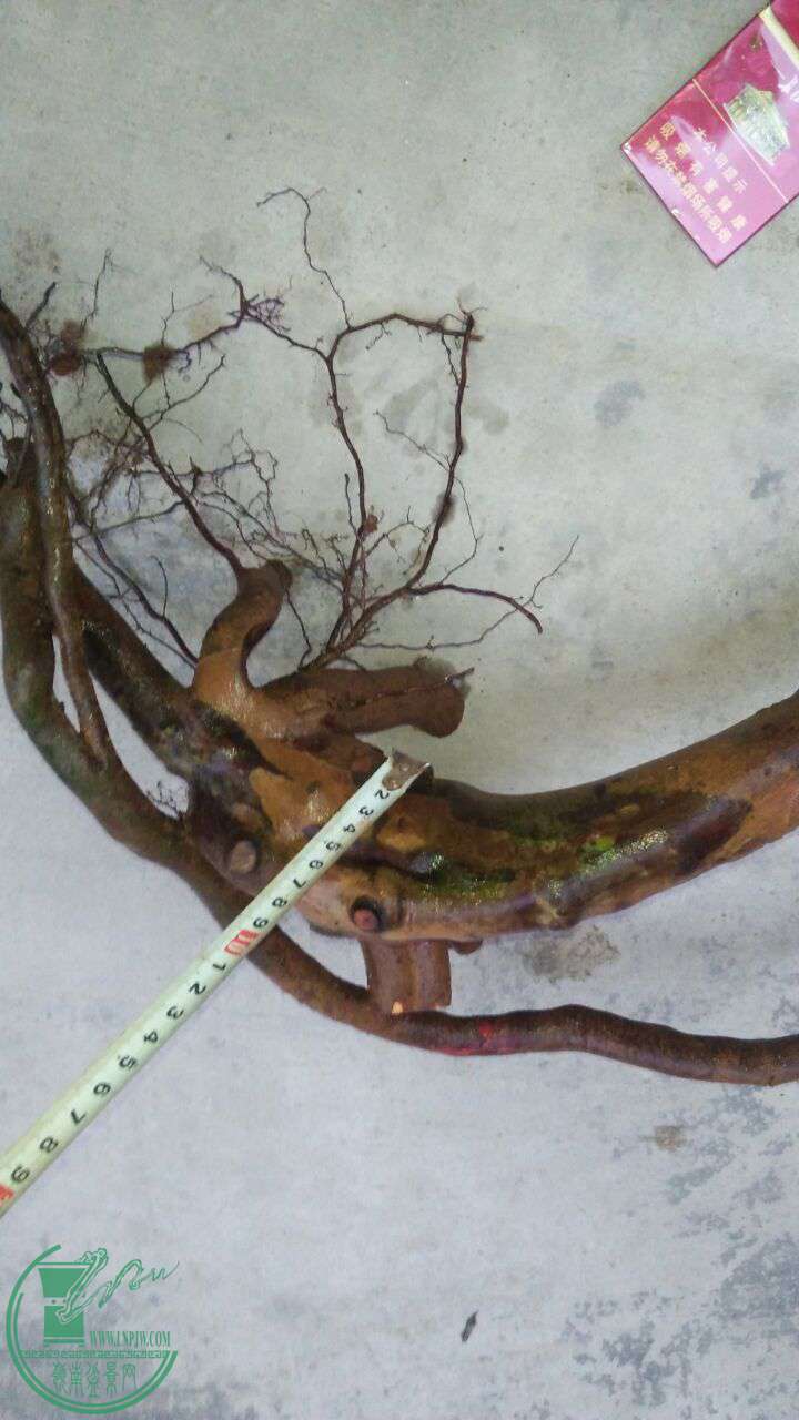 QQͼƬ20170503221840.jpg