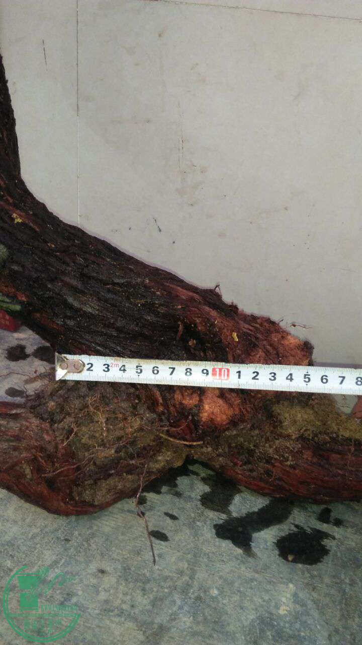 QQͼƬ20170503222026.jpg