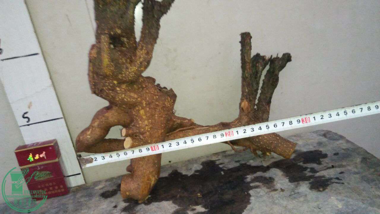 QQͼƬ20170503221859.jpg