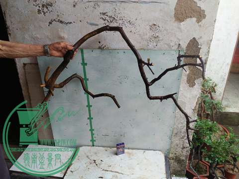 IMG20170502141710.jpg