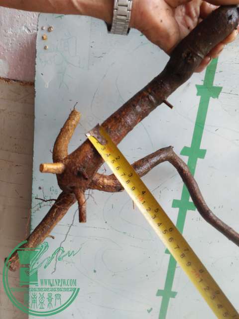 IMG20170502141718.jpg