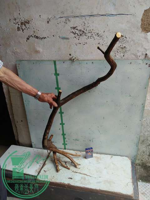 IMG20170502141814.jpg