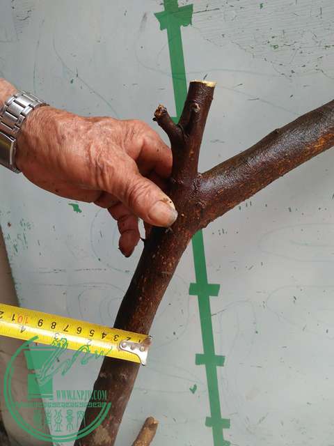 IMG20170502141823.jpg