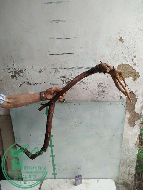 IMG20170502141840.jpg