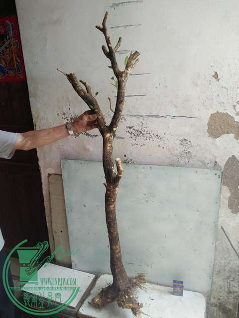 IMG20170503141031.jpg