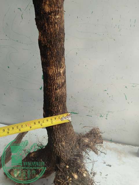 IMG20170503141035.jpg