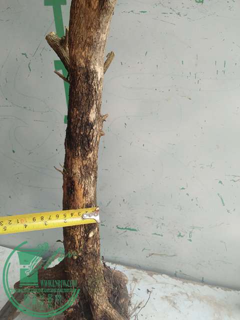 IMG20170503141059.jpg