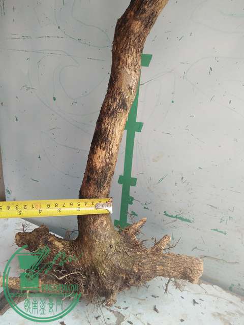 IMG20170503141123.jpg