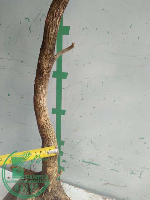 IMG20170503141221.jpg
