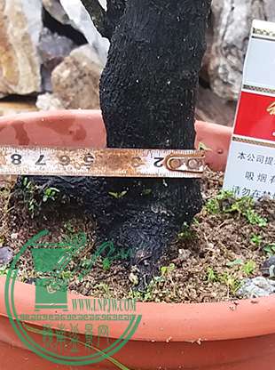 20170504_142010_mh1493897430841.jpg