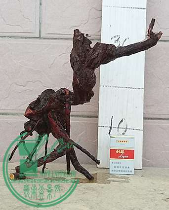 20170505_175836_mh1493983824145.jpg