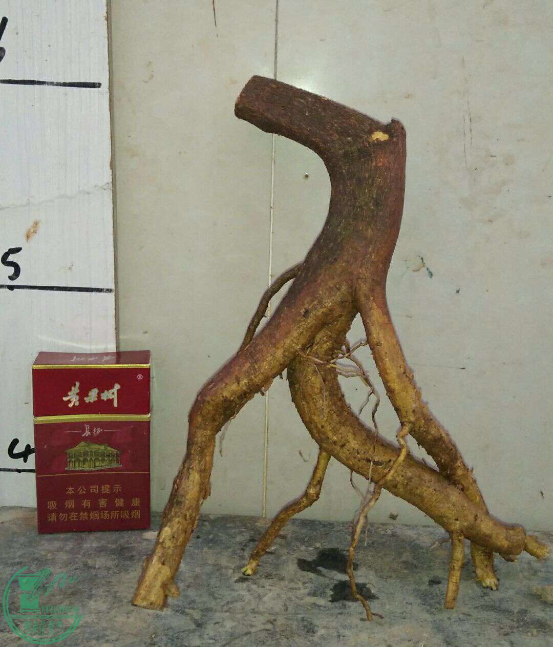 QQͼƬ20170505200912.jpg
