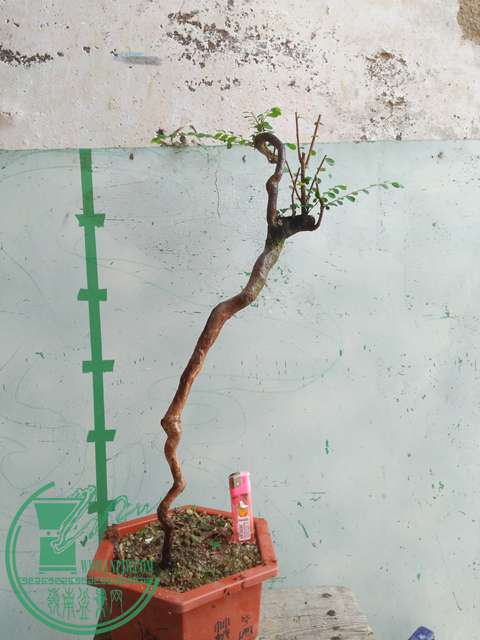 IMG20170428094046.jpg