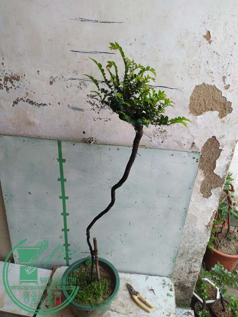 IMG20170429103947.jpg