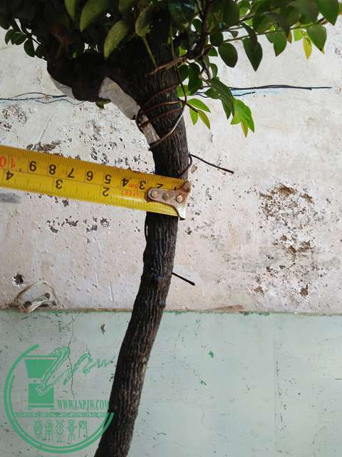 IMG20170429103957.jpg