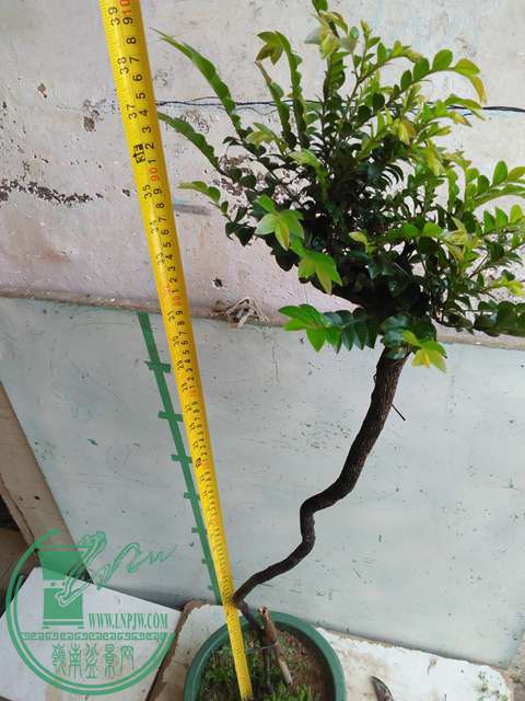 IMG20170429104012.jpg