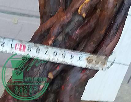 20170507_184729_mh1494156841908.jpg