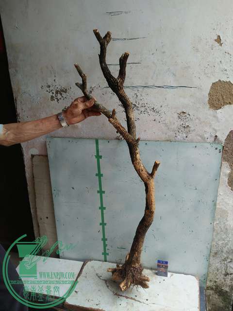 IMG20170507131524.jpg