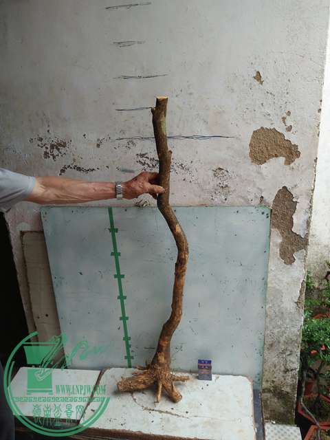 IMG20170507131540.jpg