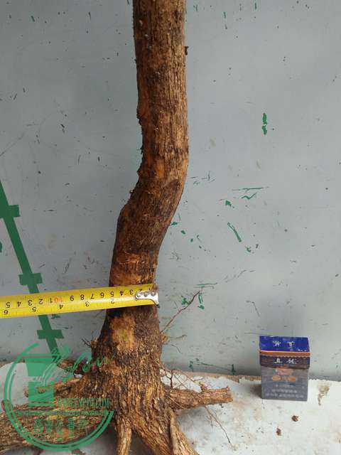 IMG20170507131544.jpg