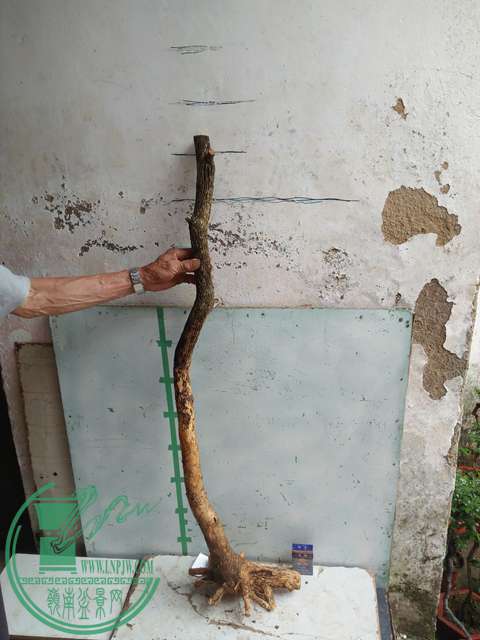 IMG20170507131549.jpg