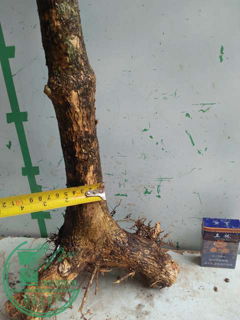 IMG20170507131609.jpg