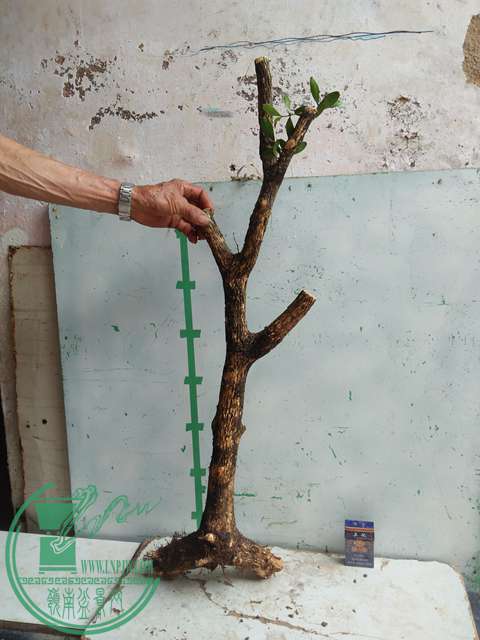 IMG20170507131615.jpg