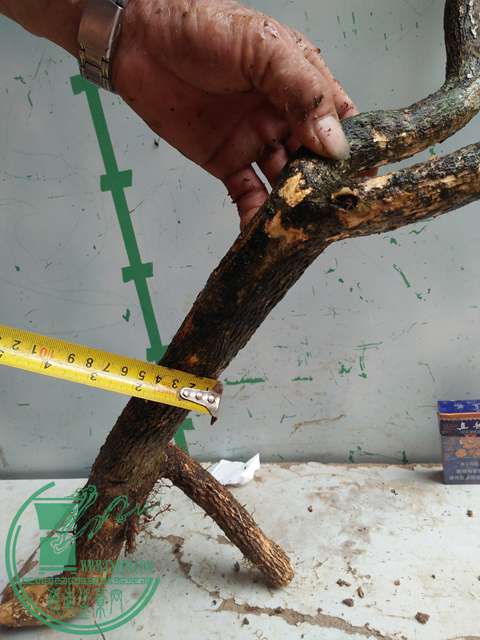 IMG20170507131817.jpg