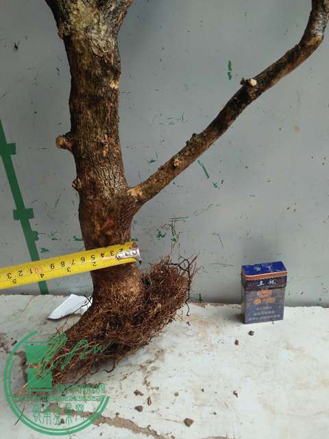 IMG20170507131847.jpg