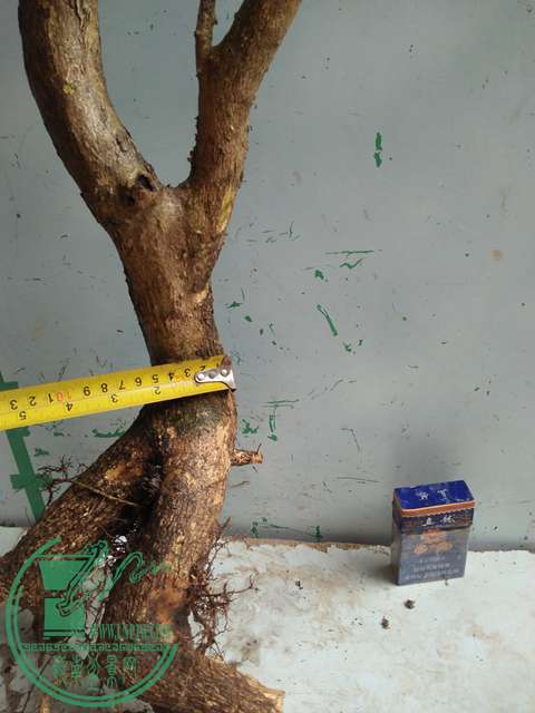 IMG20170507131911.jpg