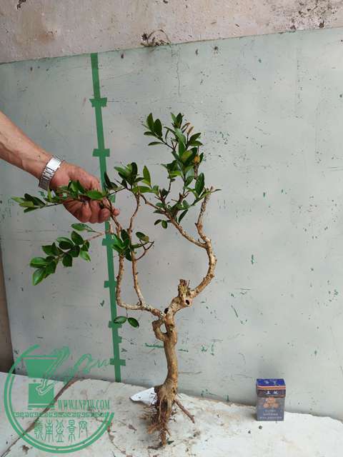 IMG20170507132250.jpg