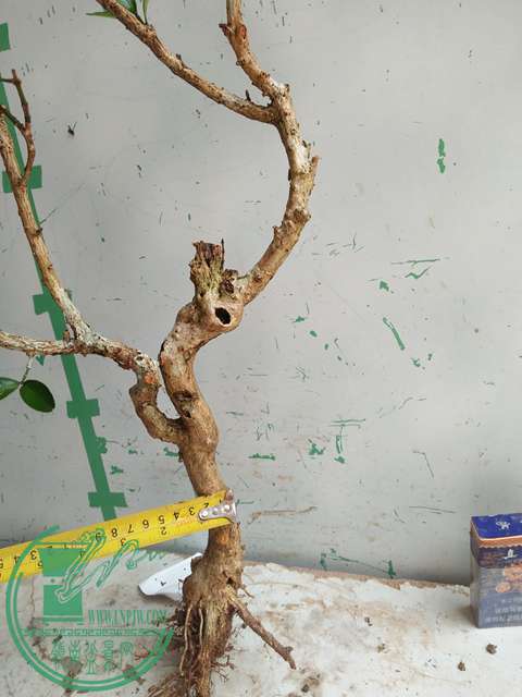 IMG20170507132257.jpg