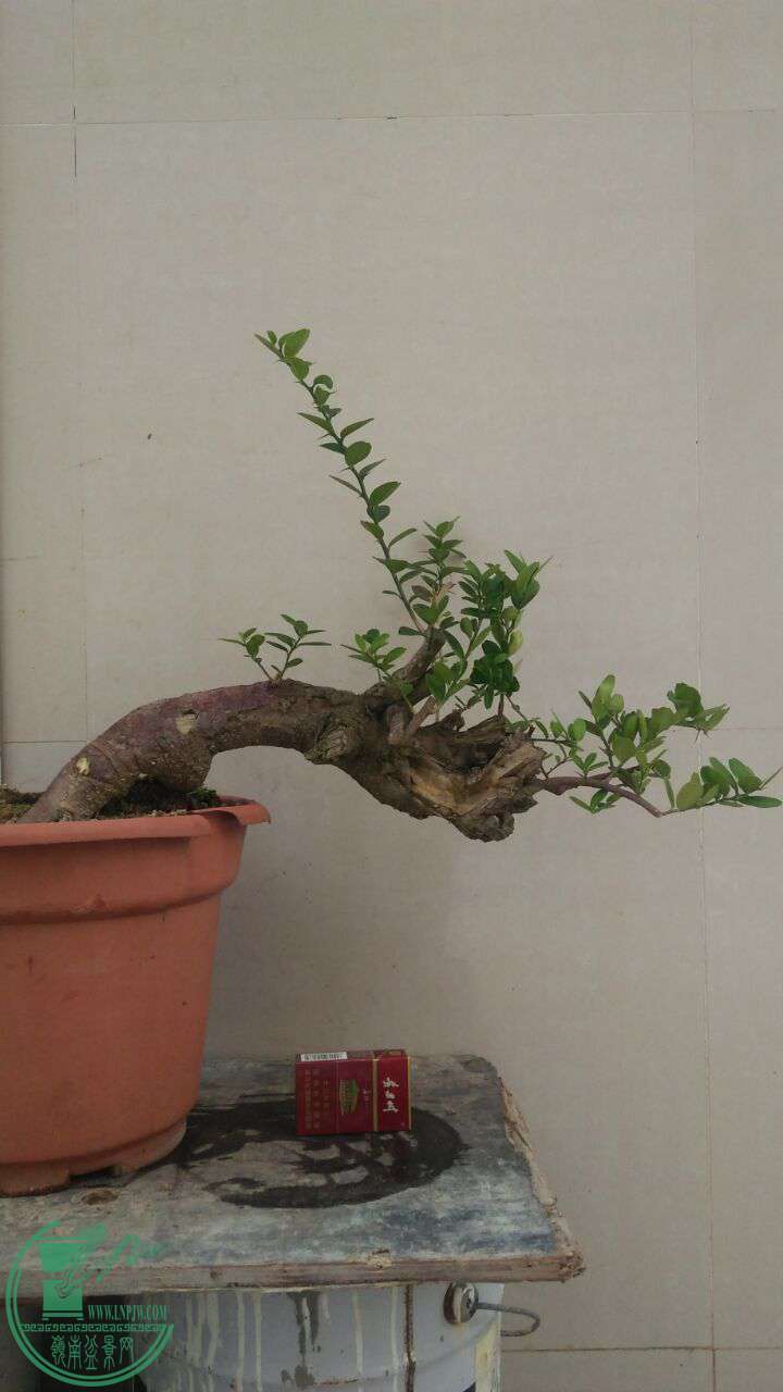 QQͼƬ20170508210011.jpg