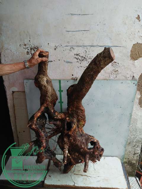 IMG20170508133922.jpg