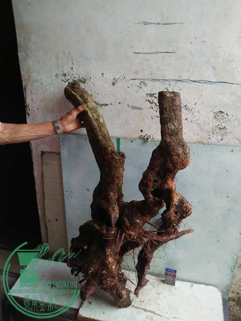 IMG20170508134012.jpg