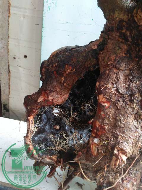 IMG20170508134121.jpg