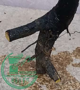 20170509_180014_mh1494327645958.jpg